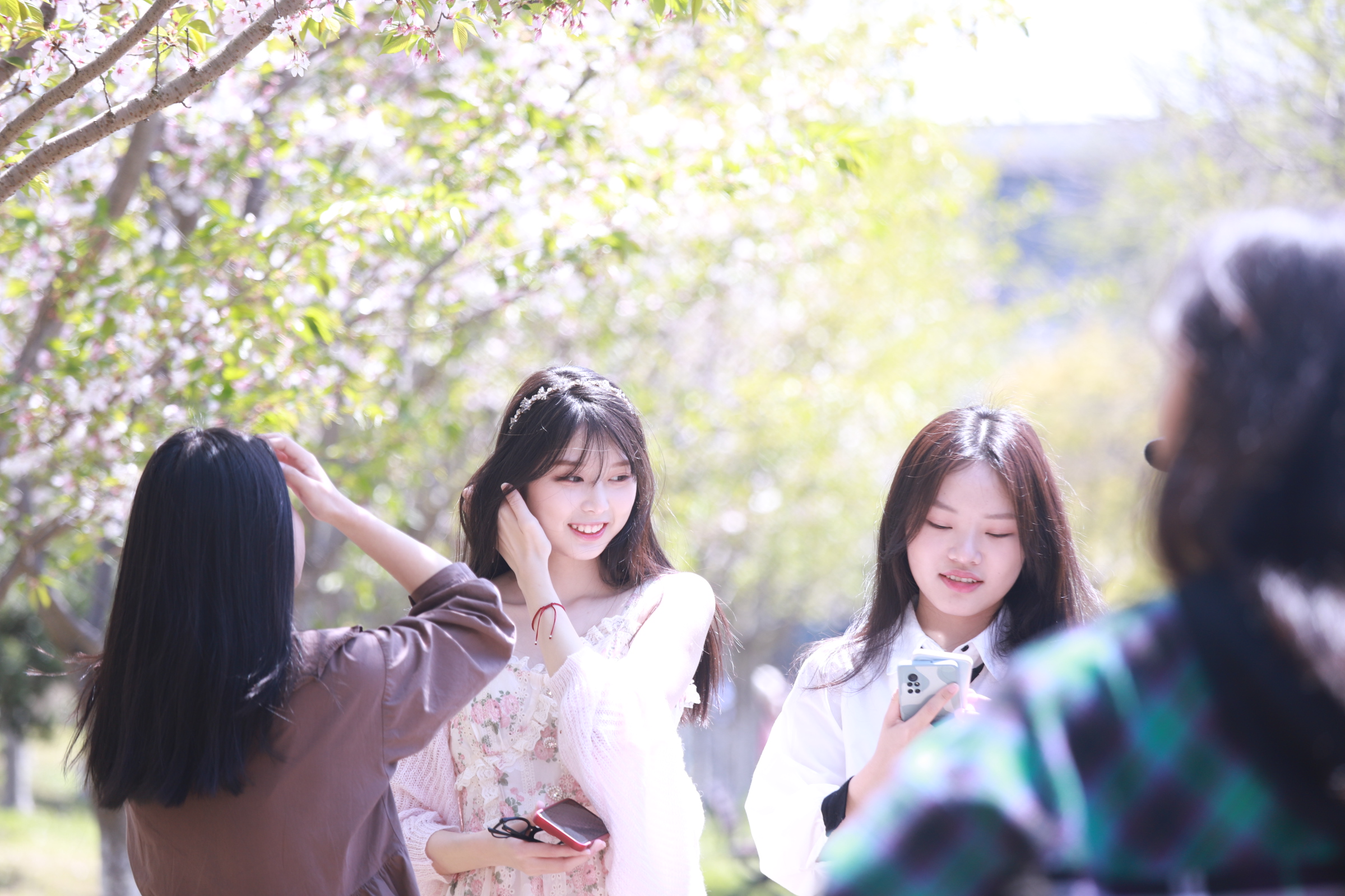 20220409_樱花节(刘洋阁) (20).jpg